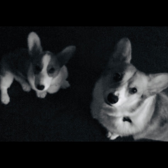 Meet your Poshers, Janice and Alana - Picture 2 of 2